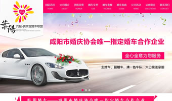 咸陽葉陽汽車服務(wù)有限公司