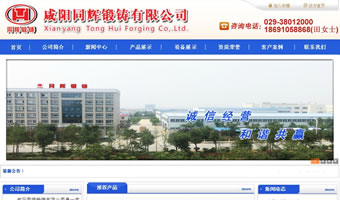 咸陽(yáng)同輝鍛鑄有限公司