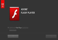 Windows Server 2016 or 2019顯示啟用Adobe Flash Player